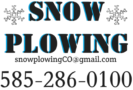 thesnowplowingco.com
